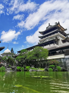 政府信息公開(kāi)目錄