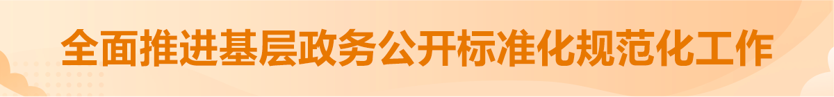 全面推進(jìn)基層政務(wù)公開(kāi)標(biāo)準(zhǔn)化規(guī)范化工作