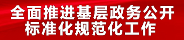 全面推進(jìn)基層政務(wù)公開(kāi)標(biāo)準(zhǔn)化規(guī)范化工作