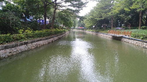 已編輯圖片
