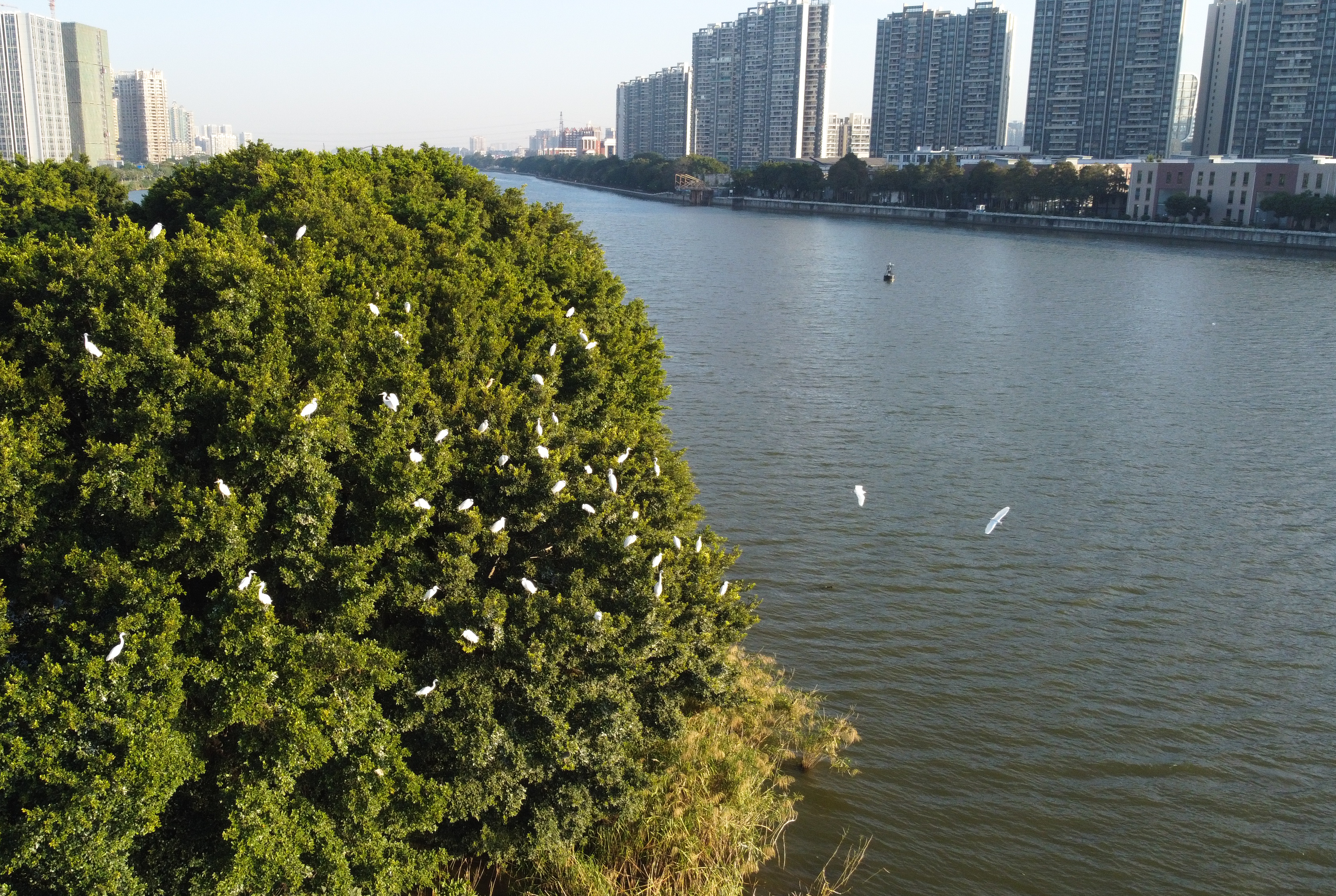 DJI_0220.jpg