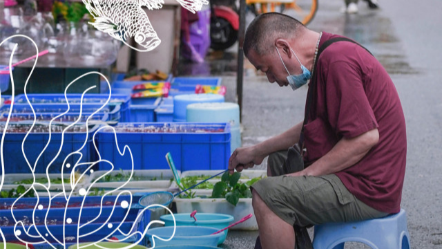 Qingping Aquatic Market