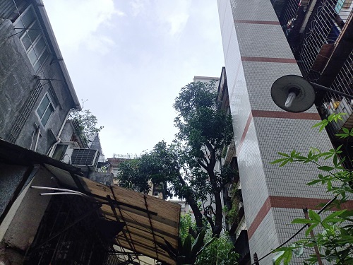 圖3：寶華正中約9號(hào)小區(qū)施工后圖.jpg