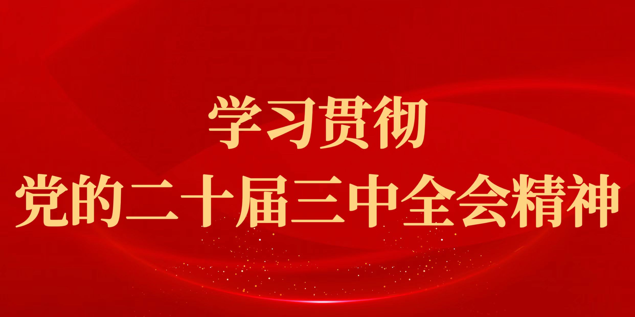 學(xué)習(xí)貫徹黨的二十屆三中全會(huì)精神