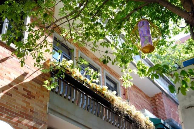 Guangzhou&#39;s most enchanting season unfolds in Liwan District