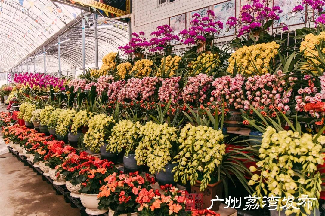 廣州花卉博覽園