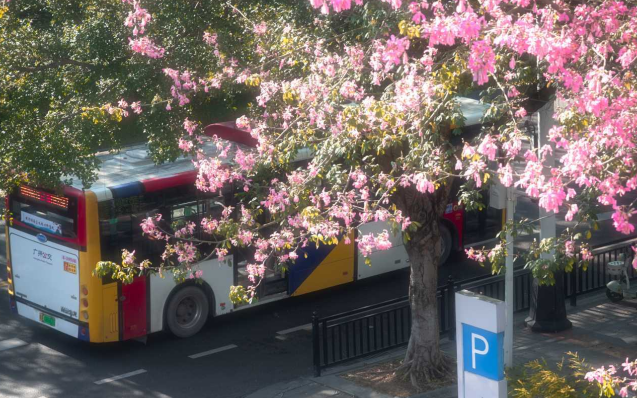 "Not Seoul, but Guangzhou" photographer joins IP Guangdong