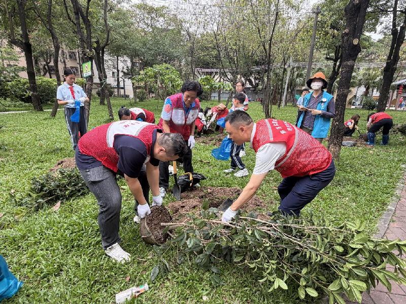 中南街：開展“銀發(fā)映春意?植綠踐初心”志愿服務(wù)活動(dòng)（組圖3）.png