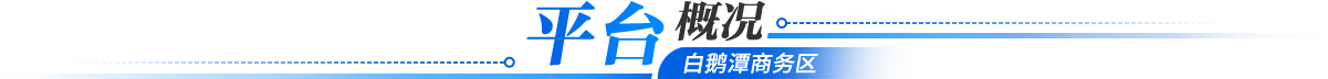 平臺概況
