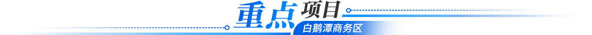 重點項目