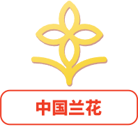 中國蘭花